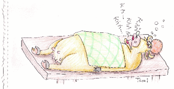 睡眠時無呼吸症候群（SAS）和歌山県和歌山市での検査、診断